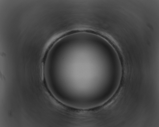 X0000090871175200708031002