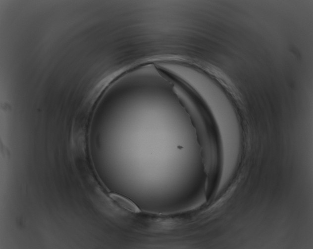 X0000090871177200708031002