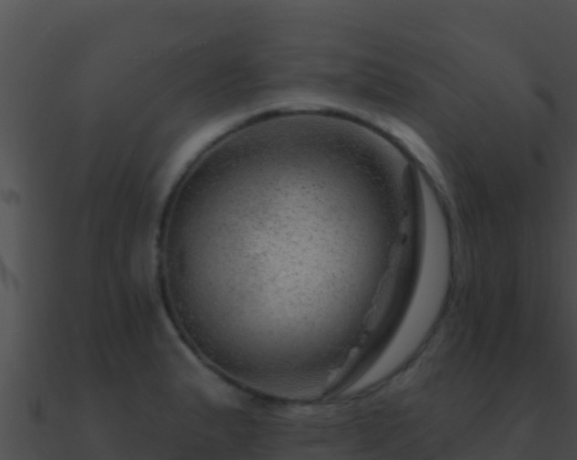 X0000090871183200708031002