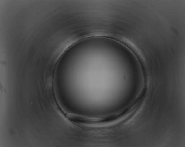 X0000090871185200708031002