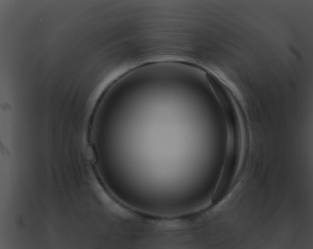 X0000090871189200708031002