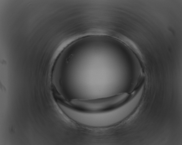 X0000090871192200708031002