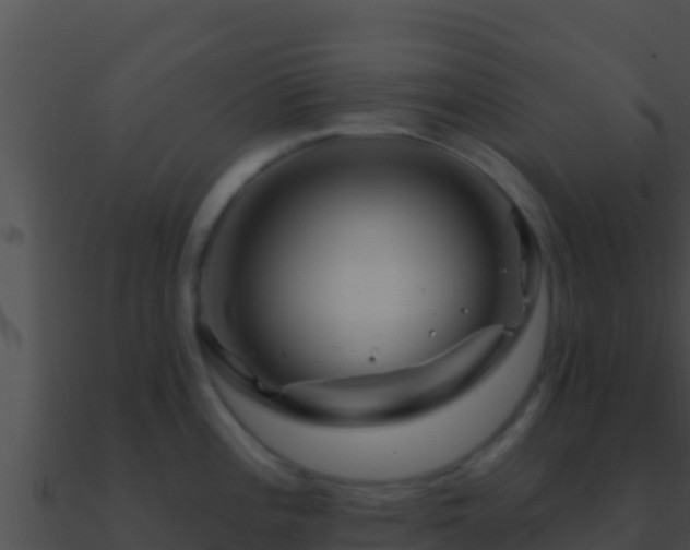 X0000090871196200708031002