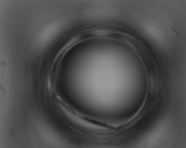 X0000090871198200708031002