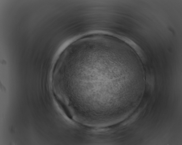 X0000090871199200708031002