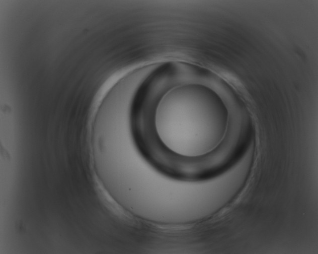 X0000090871200200708031002