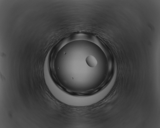 X0000090871202200708031001