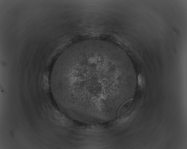 X0000090871203200708031001