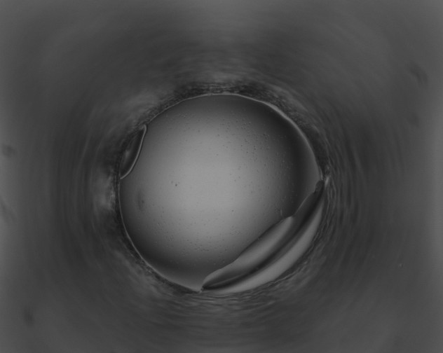 X0000090871204200708031001