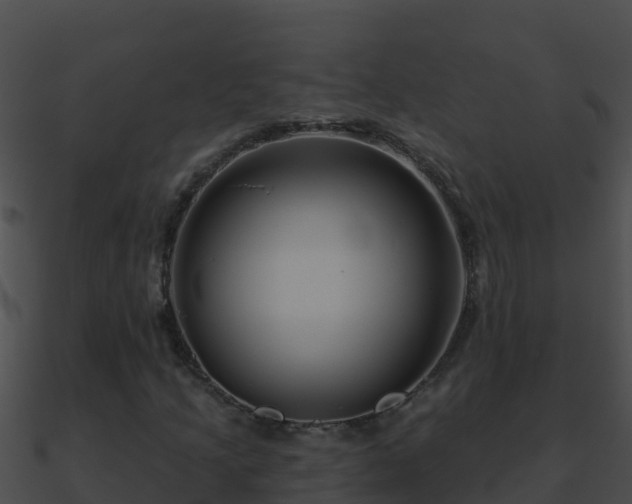 X0000090871205200708031001