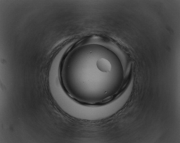 X0000090871206200708031001