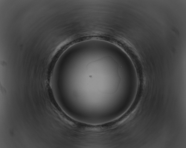 X0000090871210200708031002