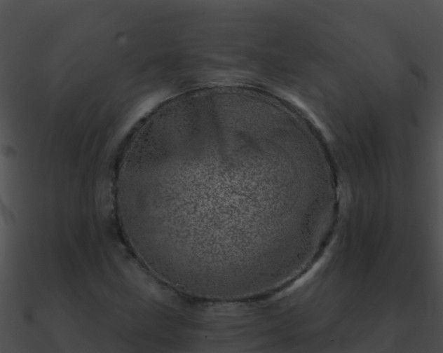 X0000090871211200708031002