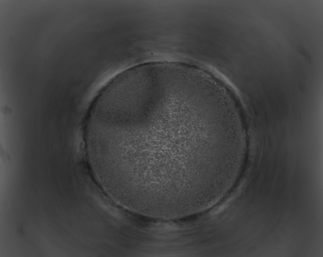 X0000090871215200708031002