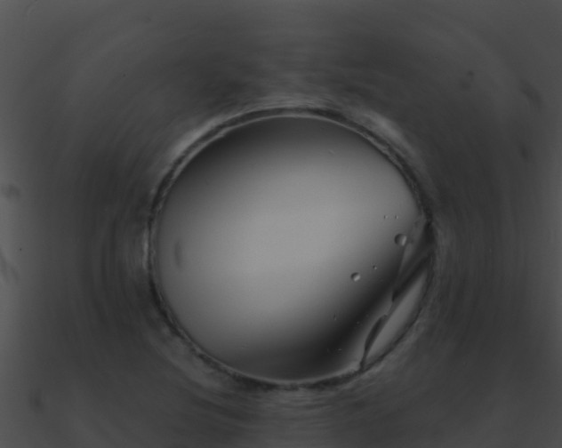 X0000090871220200708031002