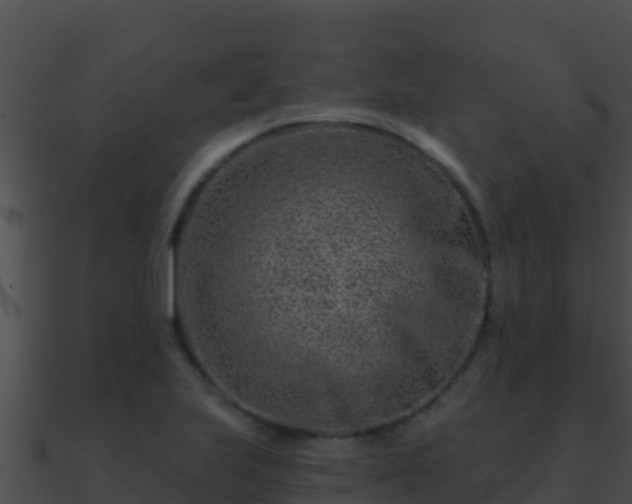 X0000090871223200708031002