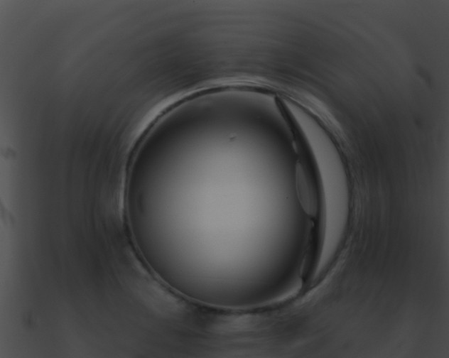 X0000090871228200708031002