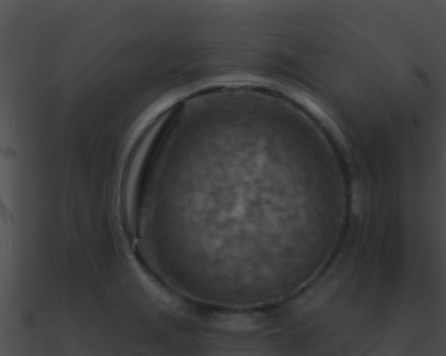 X0000090871229200708031002