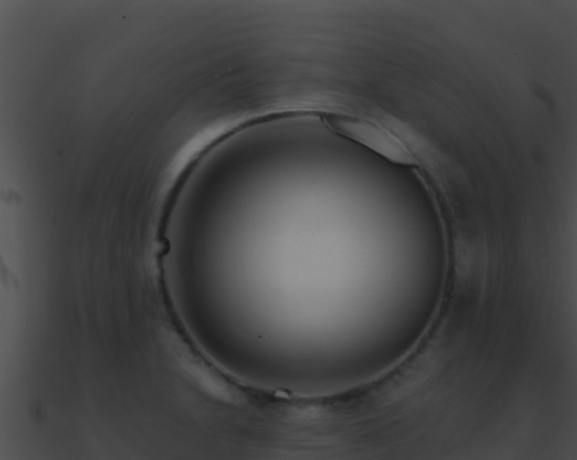 X0000090871230200708031002