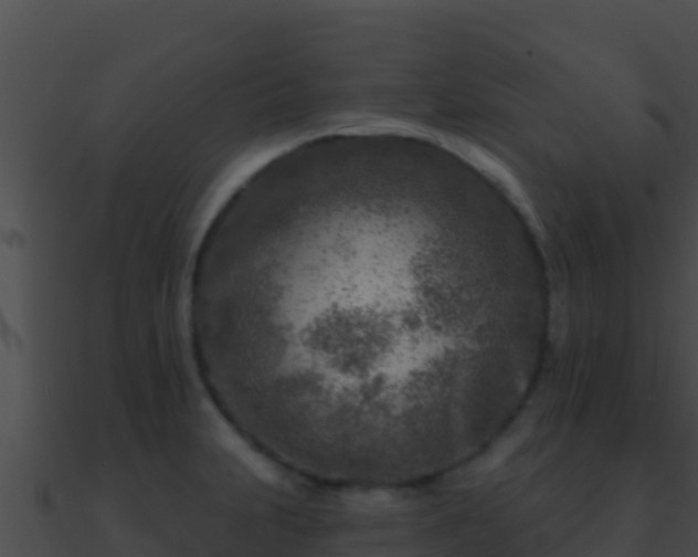 X0000090871231200708031002