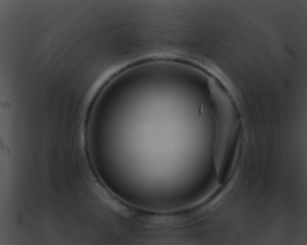 X0000090871232200708031002