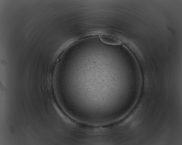 X0000090871233200708031002