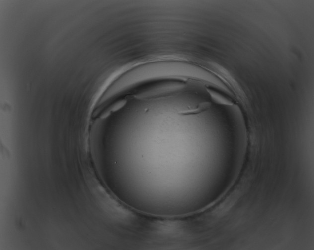 X0000090871236200708031002