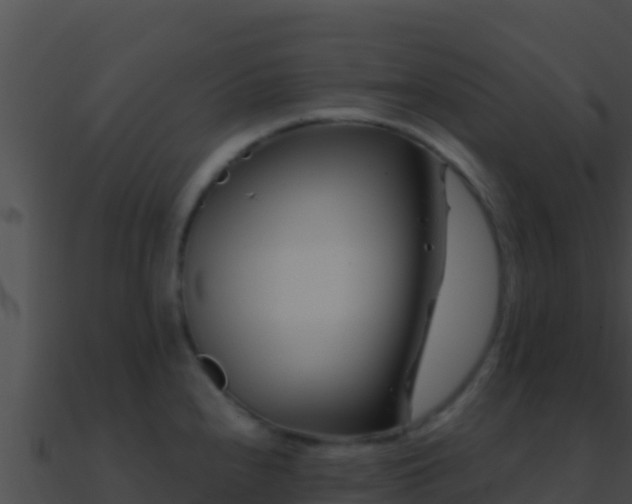 X0000090871240200708031002