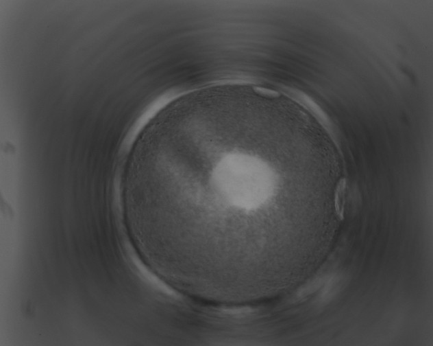 X0000090871243200708031002