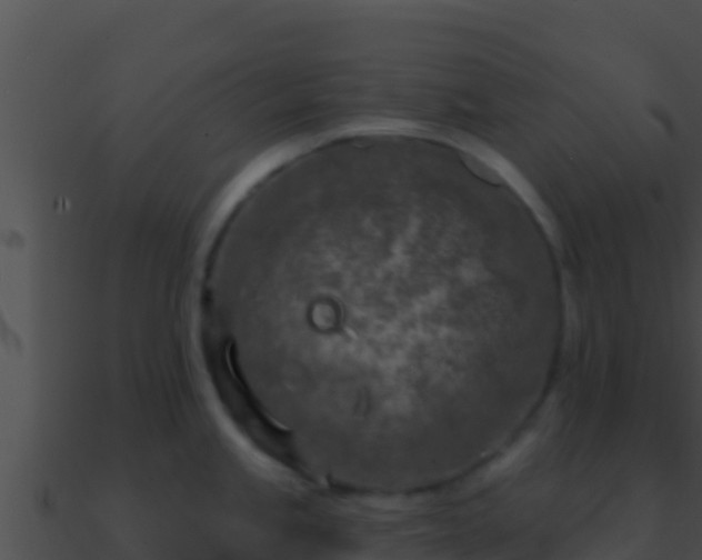 X0000090871245200708031002