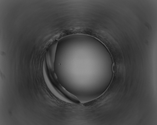 X0000090871250200708031001