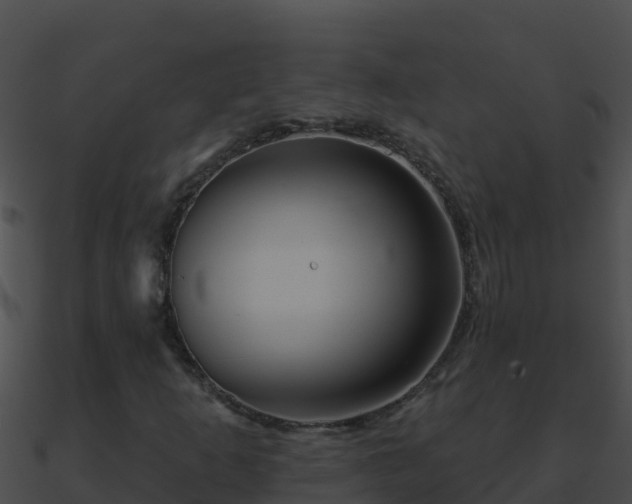 X0000090871253200708031001