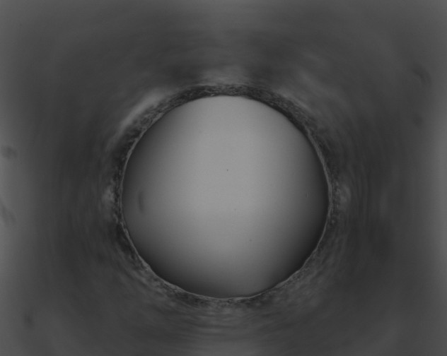 X0000090871254200708031001