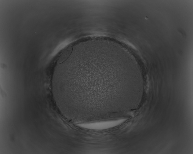 X0000090871255200708031001