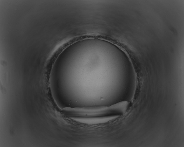 X0000090871256200708031001