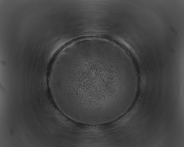 X0000090871259200708031001