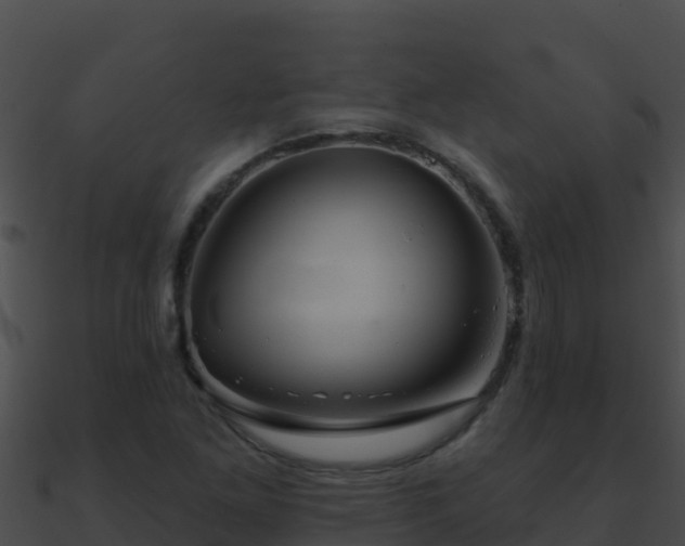 X0000090871261200708031001