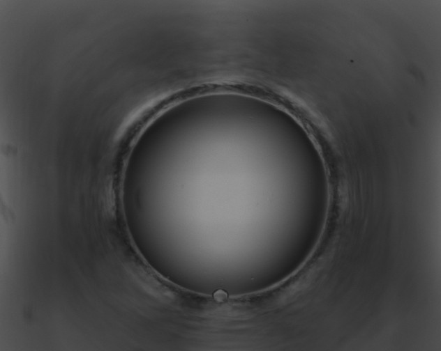 X0000090871262200708031001