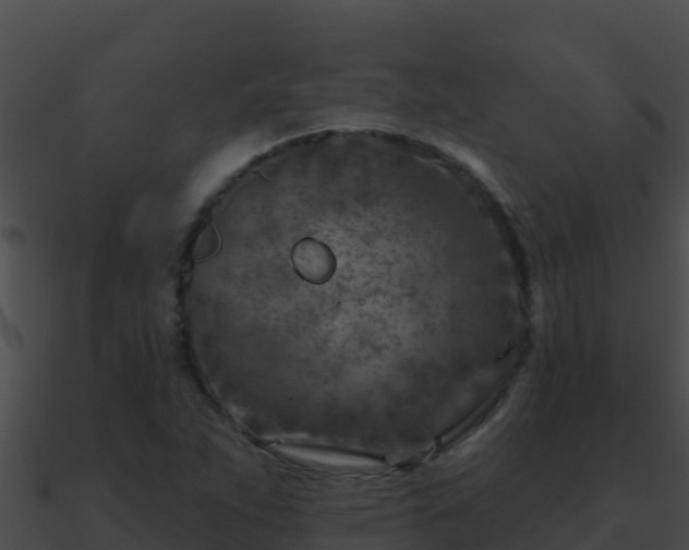 X0000090871263200708031001