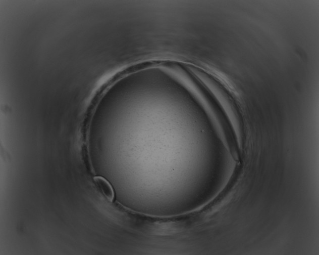 X0000090871264200708031001