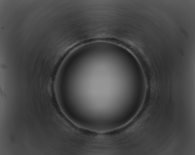 X0000090871265200708031001