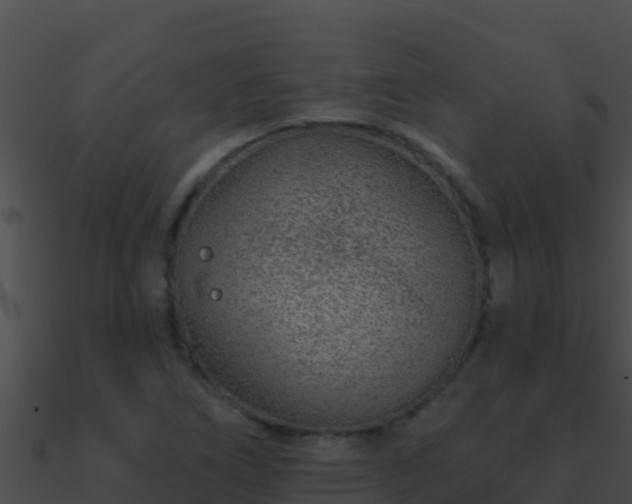 X0000090871266200708031001