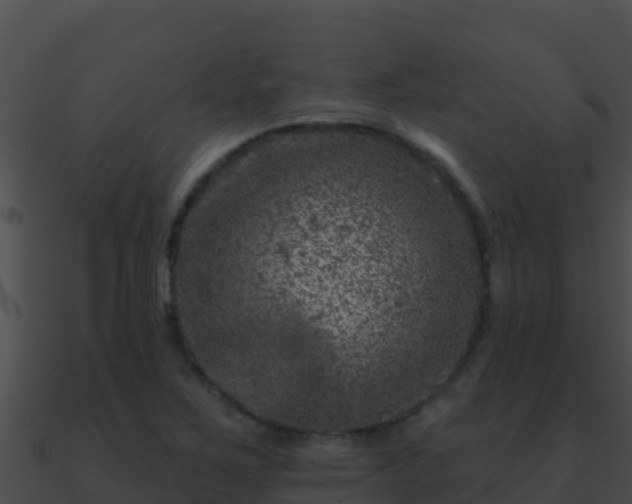 X0000090871267200708031001