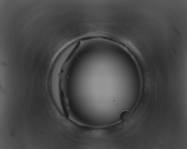 X0000090871268200708031001