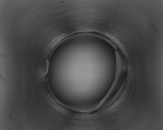 X0000090871273200708031001