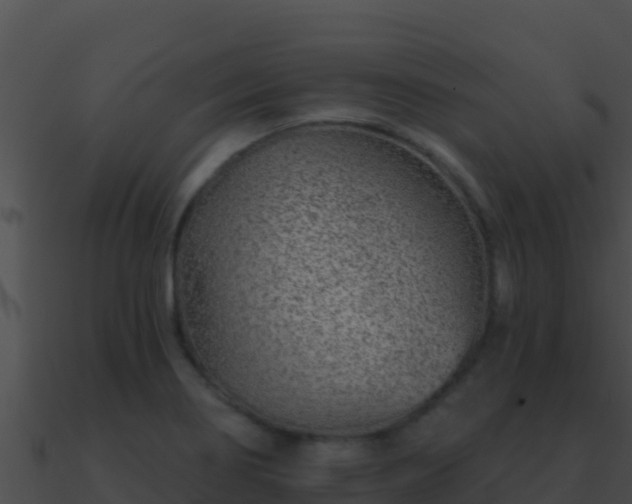 X0000090871274200708031001