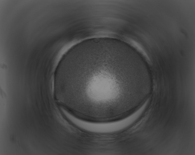 X0000090871275200708031001