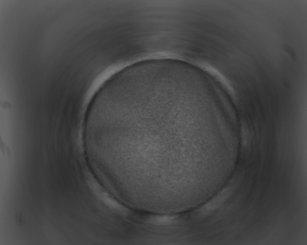 X0000090871278200708031001