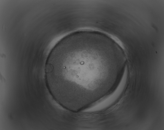 X0000090871279200708031001