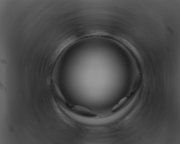 X0000090871281200708031001